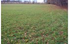 Property photo 1 - 80 Acres & Home - Property Offered in 4 Tracts from 2.3 to 30.0 Acres